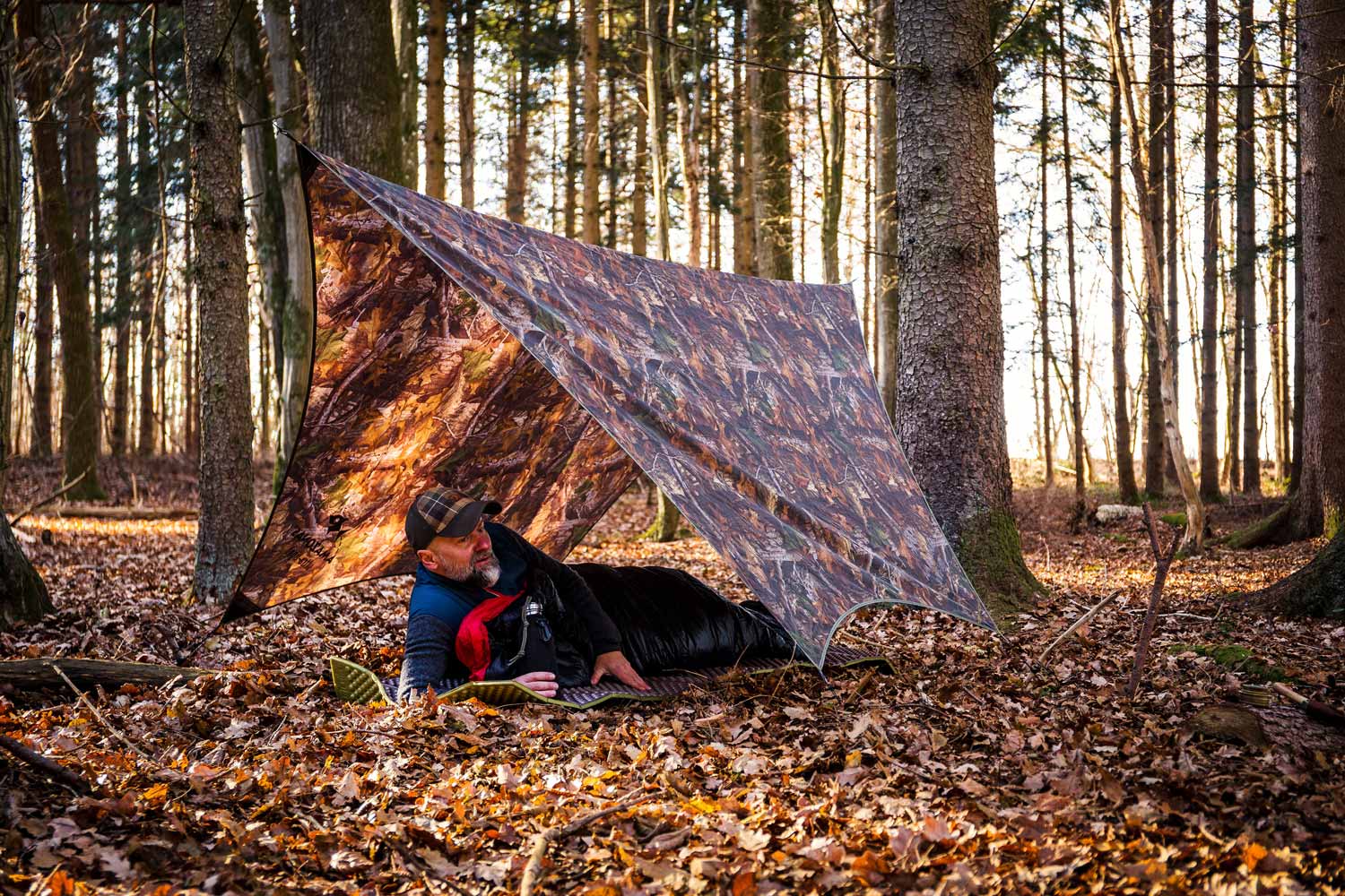 Traveller Tarp forest