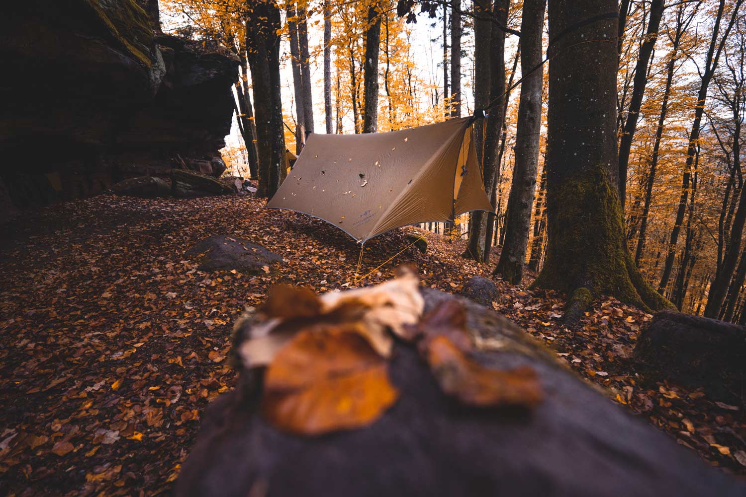 Adventure Wing Tarp