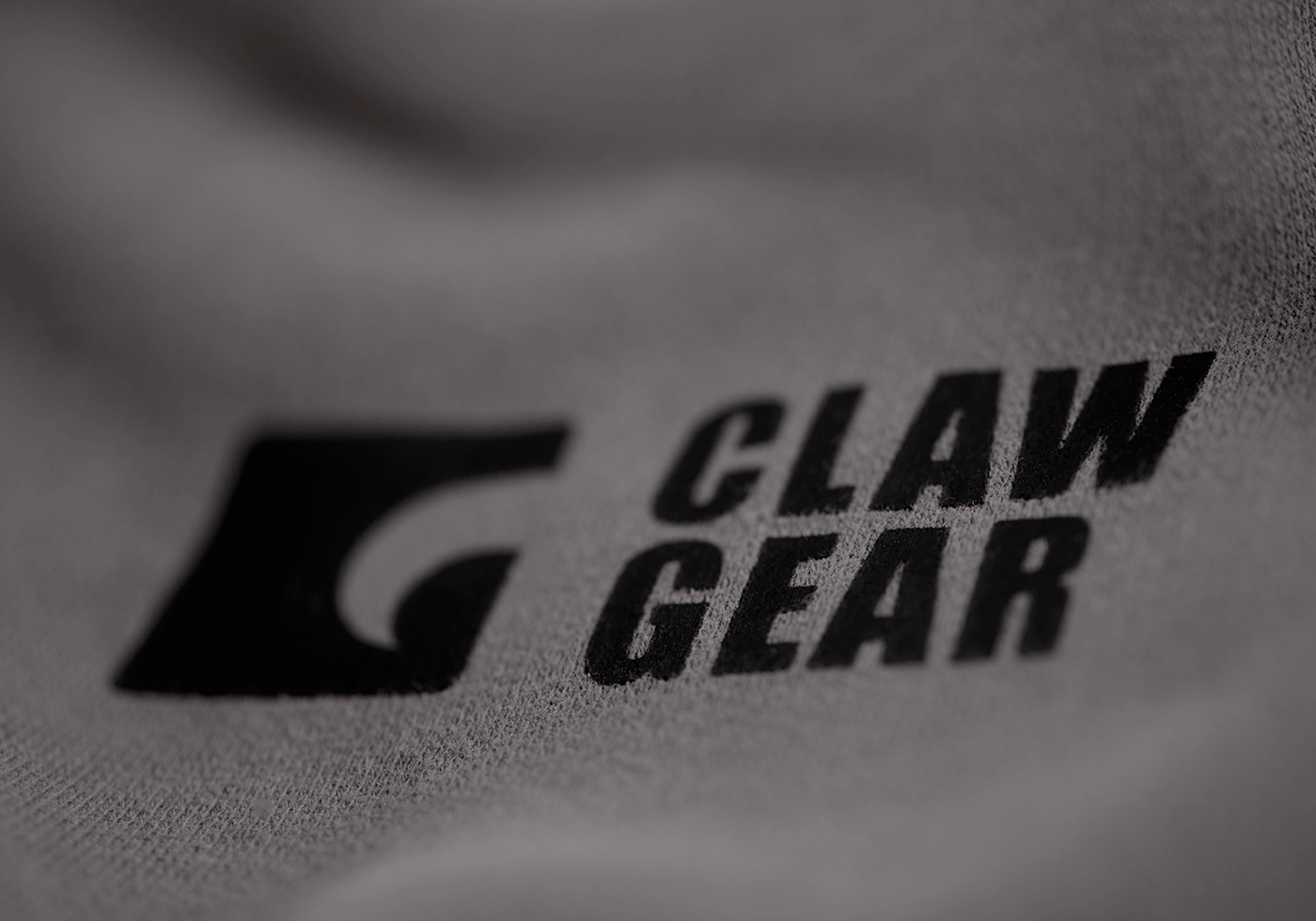 CG Logo Zip Hoodie wolf grey