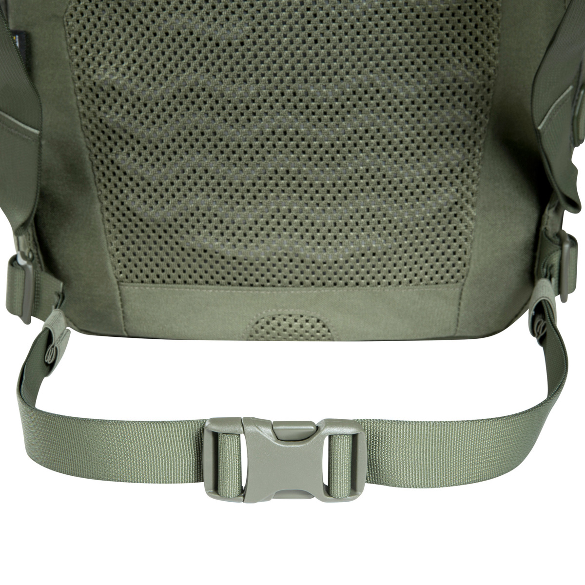 TT Sentinel 35 WP olive