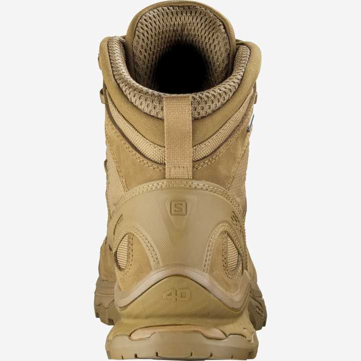 Quest 4D GTX Forces 2. Gen coyote
