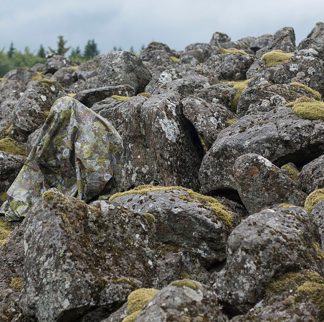 Original Mountain Camo Biwaksack