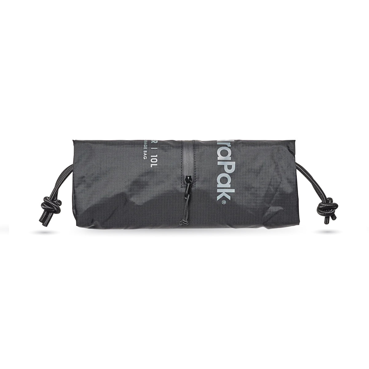 Pioneer 10L